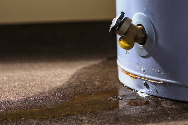 Best Water damage restoration near me  in North Pembroke, MA