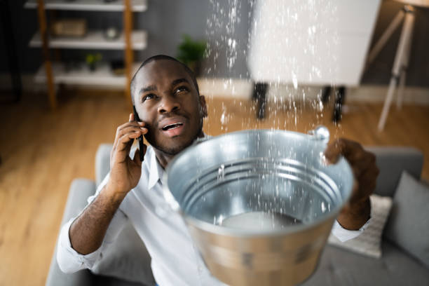 Best Water damage restoration services  in North Pembroke, MA