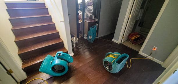 Best Carpet water damage restoration  in North Pembroke, MA
