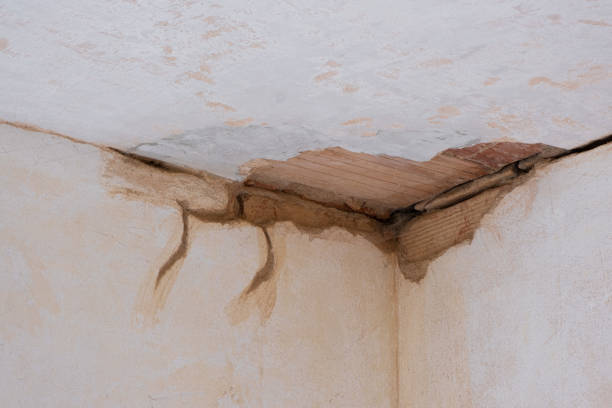 Best Local water damage restoration  in North Pembroke, MA
