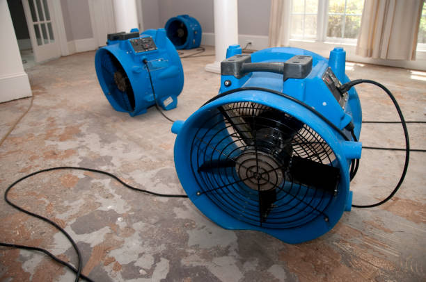 Reliable North Pembroke, MA Water damage restoration Solutions