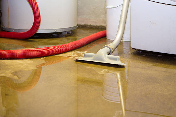 Best Carpet water damage restoration  in North Pembroke, MA