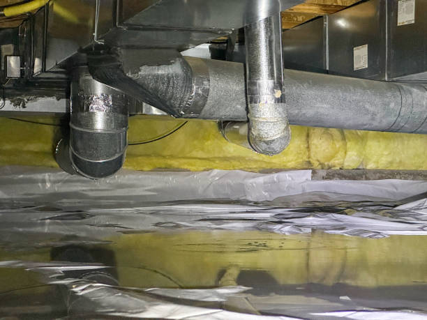 Best Mold removal after water damage  in North Pembroke, MA