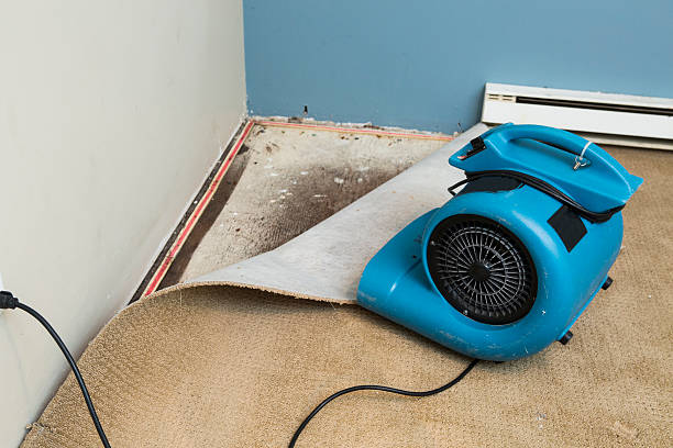 Best Sewage cleanup and water damage restoration  in North Pembroke, MA